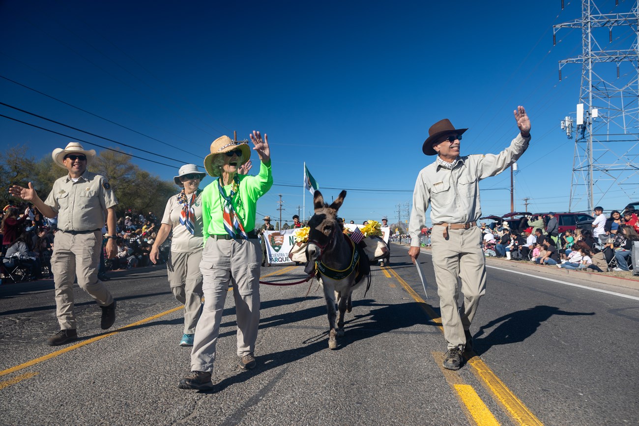 Low angle looking down a pave road. Four NPS volunteers lead a parade, in between them is a small donkey adorned with NPS regalia. Volunteers are wearing brown boots, tan pants, tan shirts, and brown wide brimmed hats. Crowds on both sides of the road.