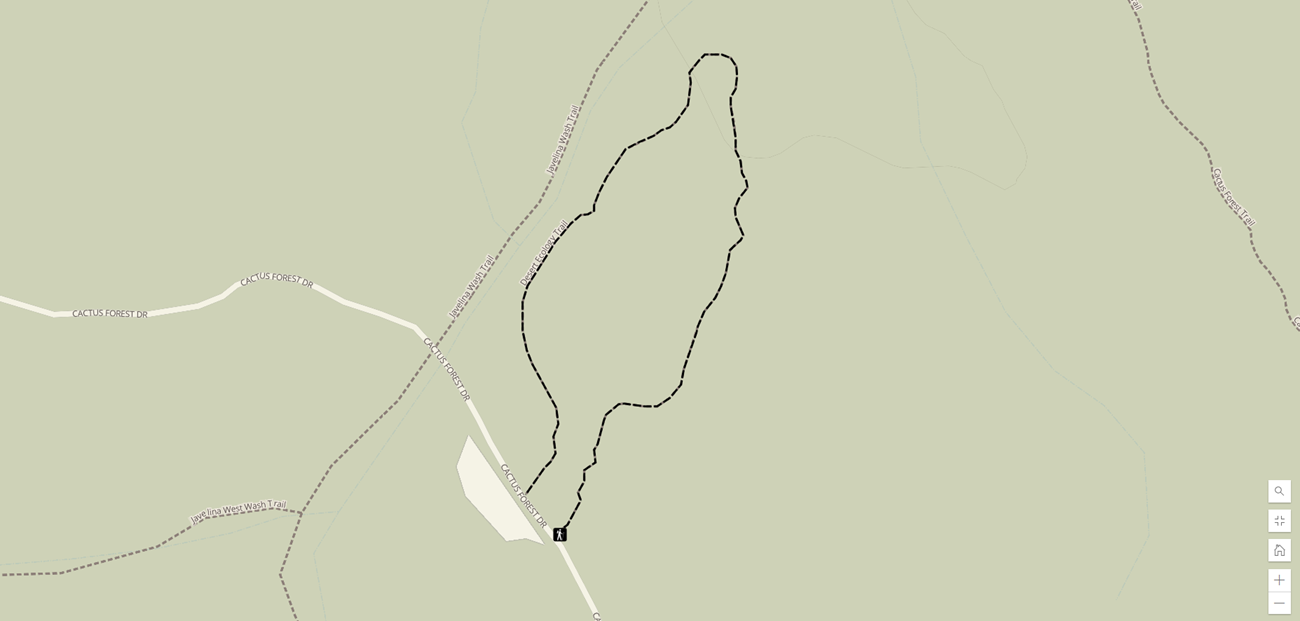 Desert Ecology trail map