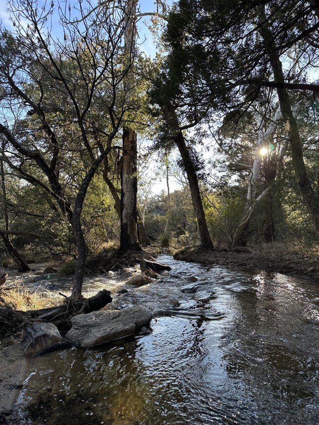 Chimenea Creek flowing from Grass Shack campground