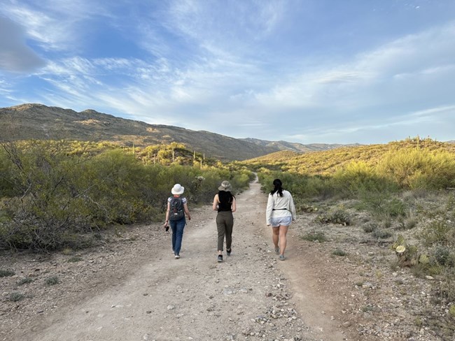 Three hikers walk the Hope Camp Trail at sunset