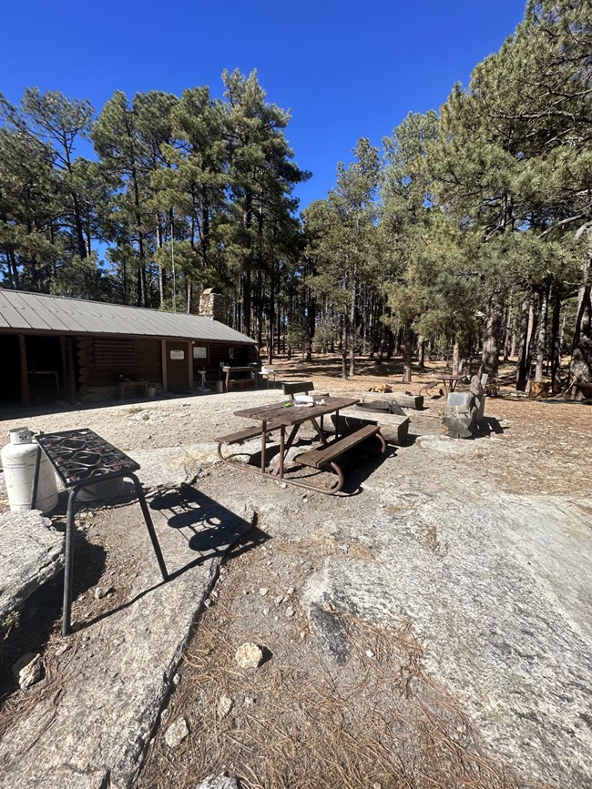 cabin with a table and seating outside sits among a pine forest