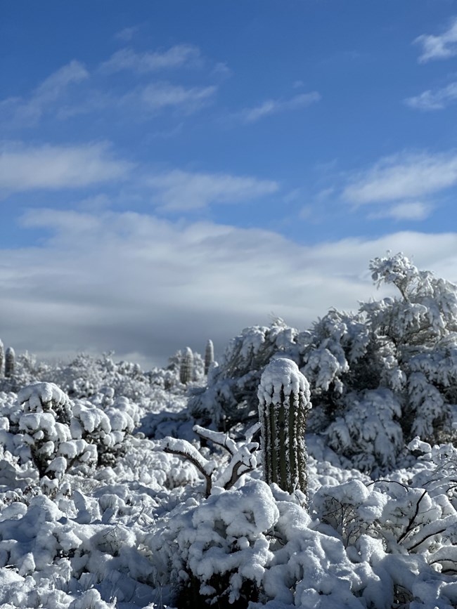 snow2 2023