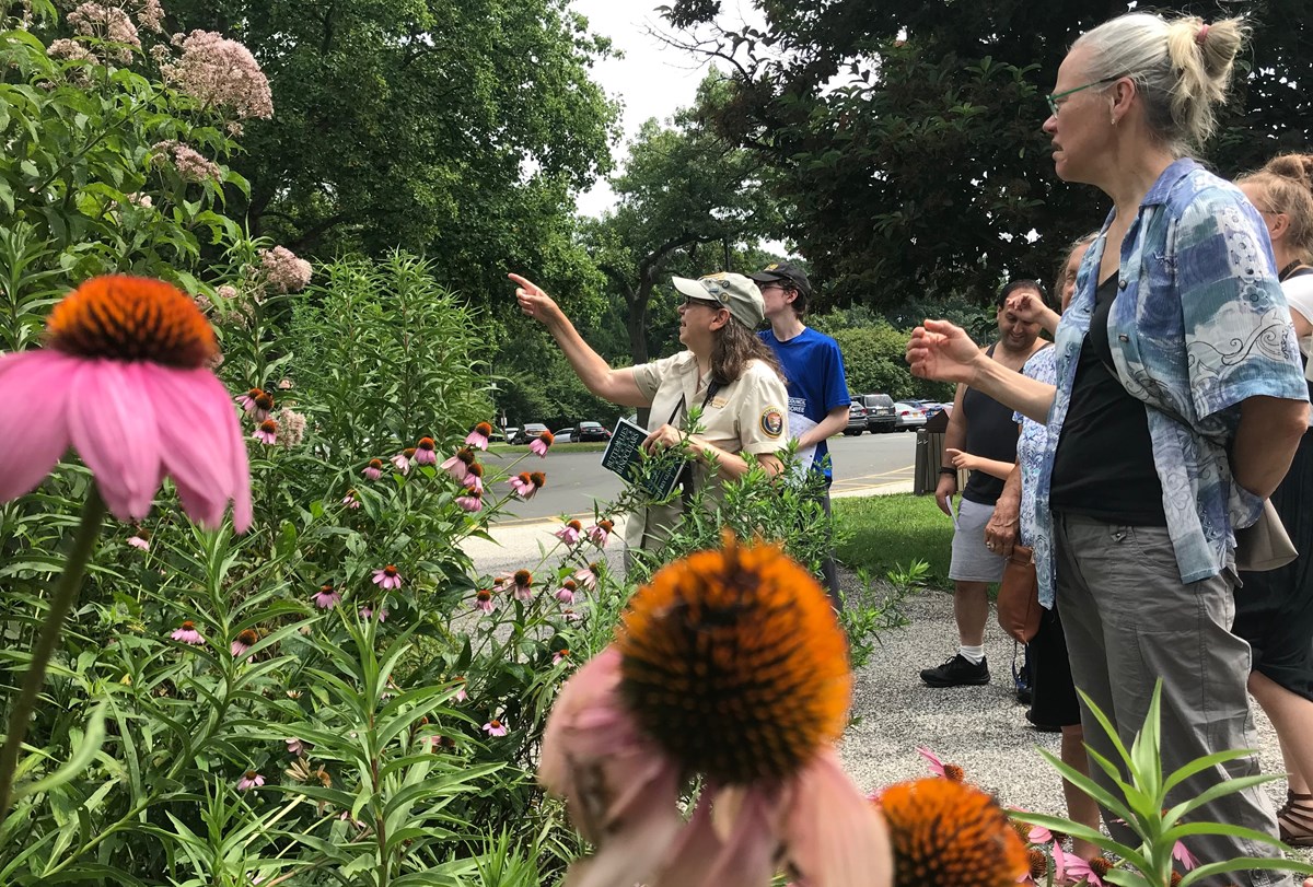 A volunteer points out wildflowers for a tour group.