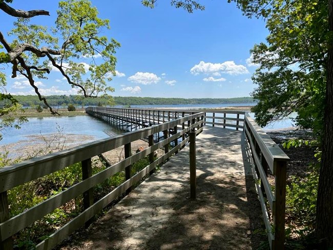 A wooden boardwalk stretches over water filled channels of a salt marsh.  A shoreline with trees is in the background.