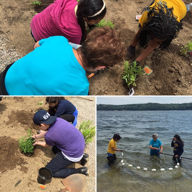 Students from Washington Rose Elementary School help plant the Native Plant Garden. NPS/Clayton Hanson