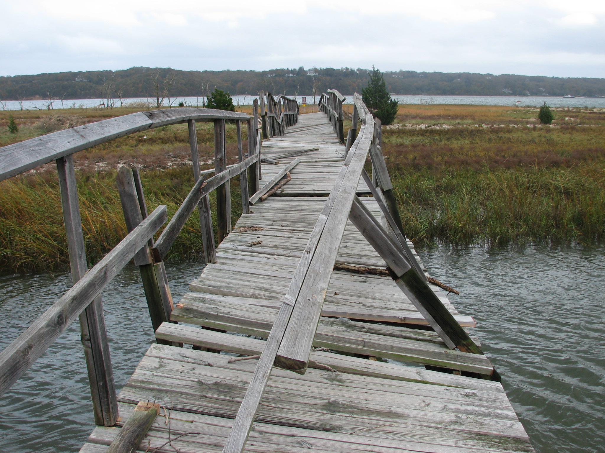 Boardwalk Damage