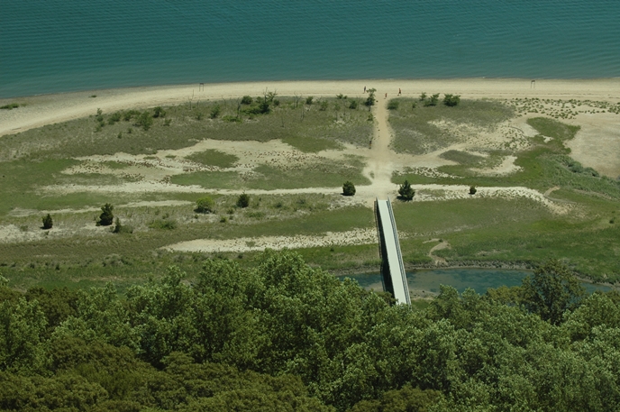 Woodland, wetland, and shoreline at Sagamore Hill