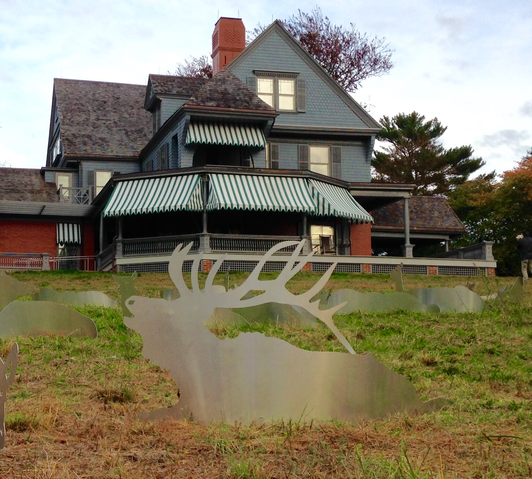 A reflective metal elk sits in front of the Theodore Roosevelt Home.