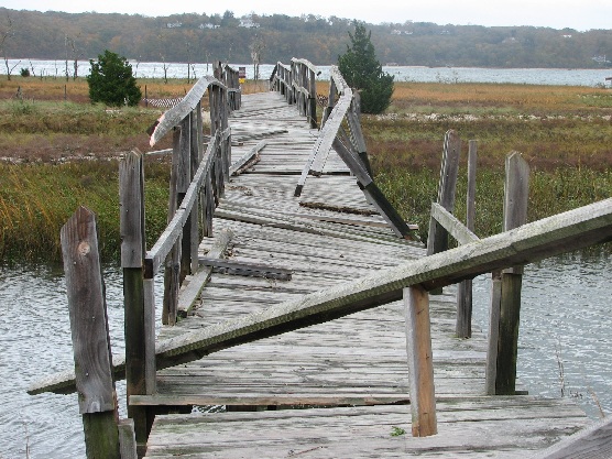 Sagamore Hill National Historic Site Boardwalk Reconstruction Rescheduled -  Sagamore Hill National Historic Site (U.S. National Park Service)