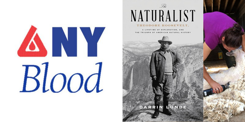 Images of the New York Blood Center logo, sheep being sheared, and the cover of a book with Theodore Roosevelt standing in the Yosemite Valley.