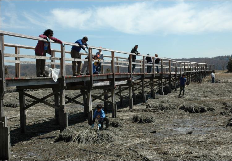 Wetlands Clean-up