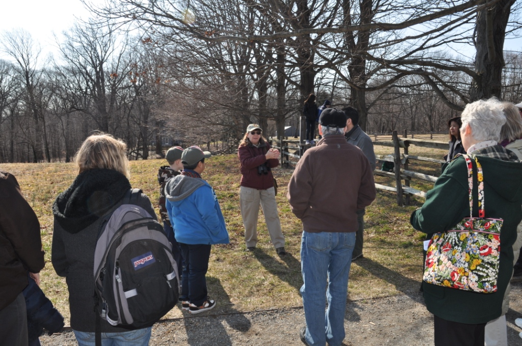 Volunteer Naturalist