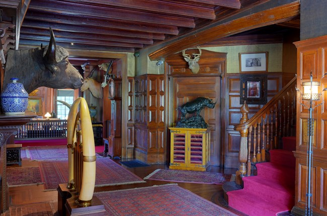A hallway with dark oak paneling, a cape buffalo trophy, and furnishings.