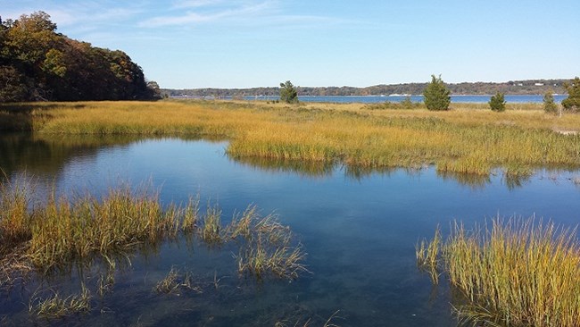 Eel Creek with Cold Spring Harbor in the background.