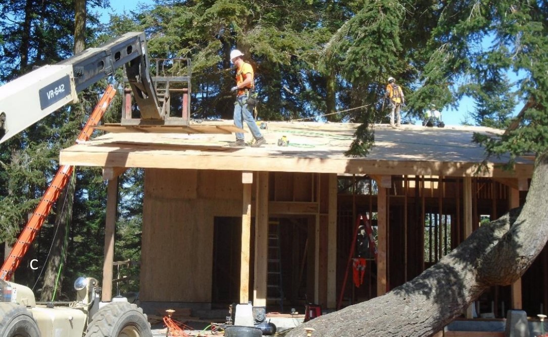 Sheathing roof Workers installing roof sheathing