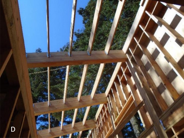 Roofing lattice Looking up at lattice work that will support roofing
