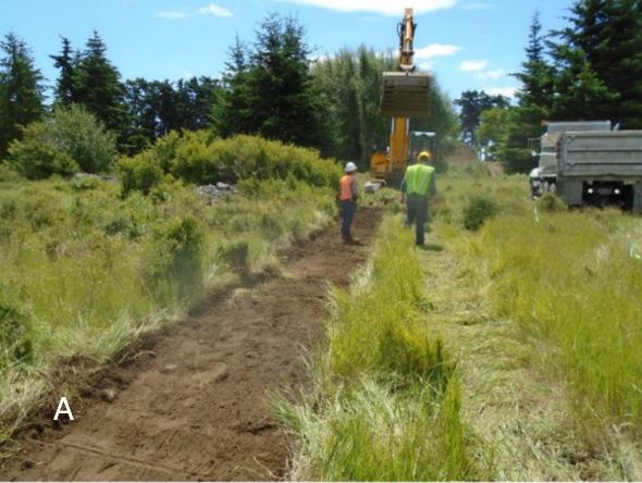 Clearing for leech trench Clearing vegetation for a leech trench