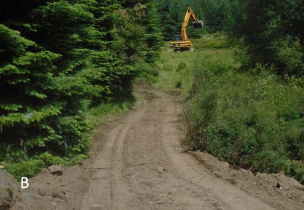 Vegetation is cleared for access to septic leech field