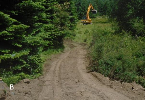 Clearing from VC to leech field Vegetation is cleared for access to septic leech field