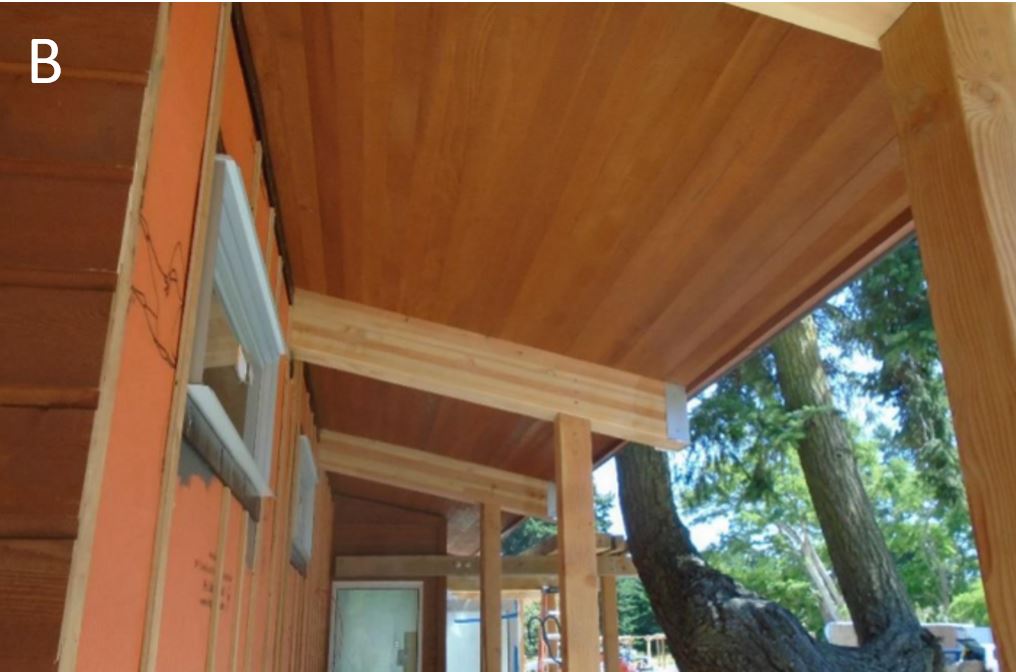 A view underneath the roof line revealing cedar soffit