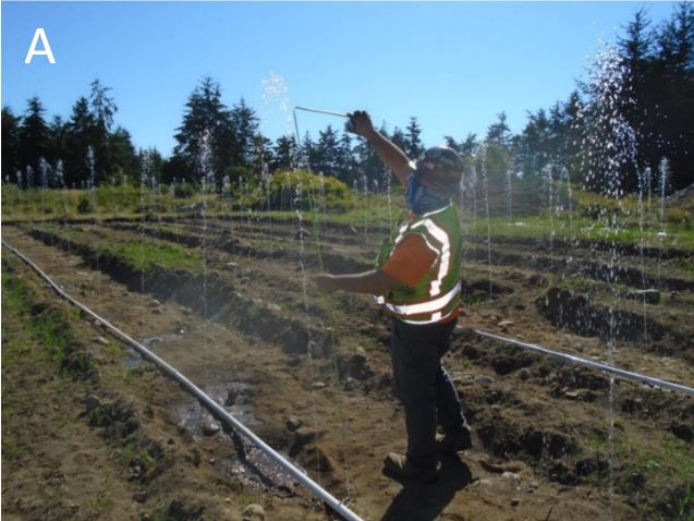 Squirt test Worker performing squirt test in septic field