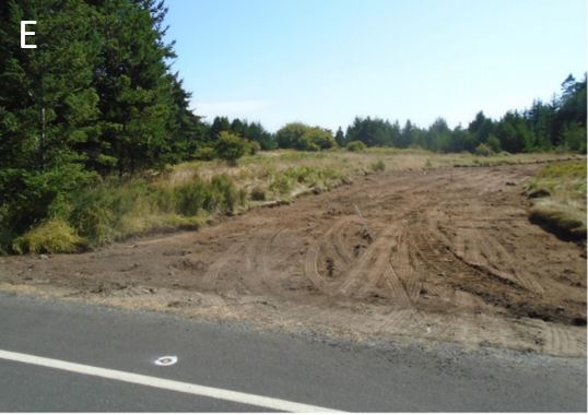 New entry road New entry road at Cattle Point Road