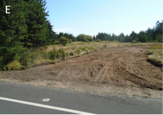 New entry road at Cattle Point Road