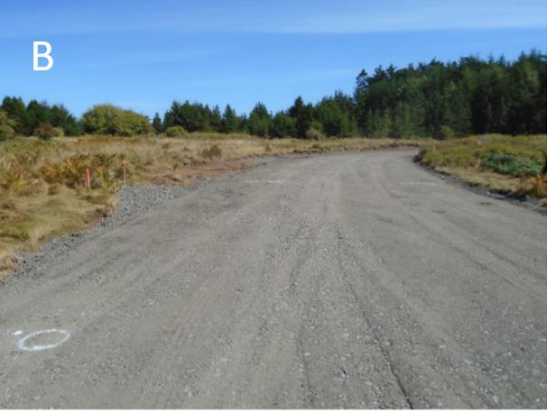 New access road looking west from Cattle Point Rd