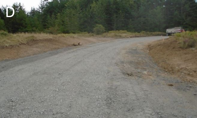 New entry road preparations complete New entry road shoulders graded and subsurface installed