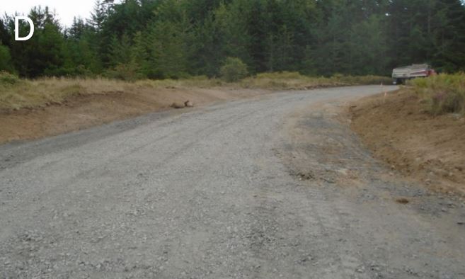 New entry road shoulders graded and subsurface installed