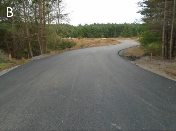 Newly asphalted entrance road New entrance road looking north to Cattle Point Rd.