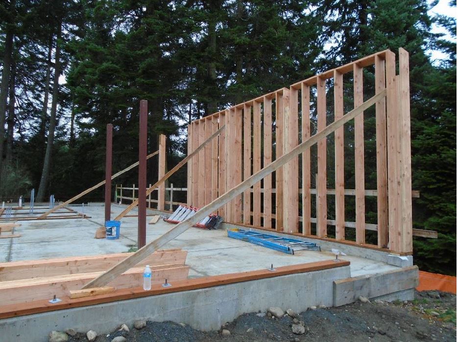A wooden framed exterior wall is etrected and braced for further framing activities