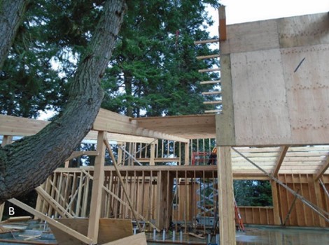 Interior walls being framed Interior wall framing is taking shape