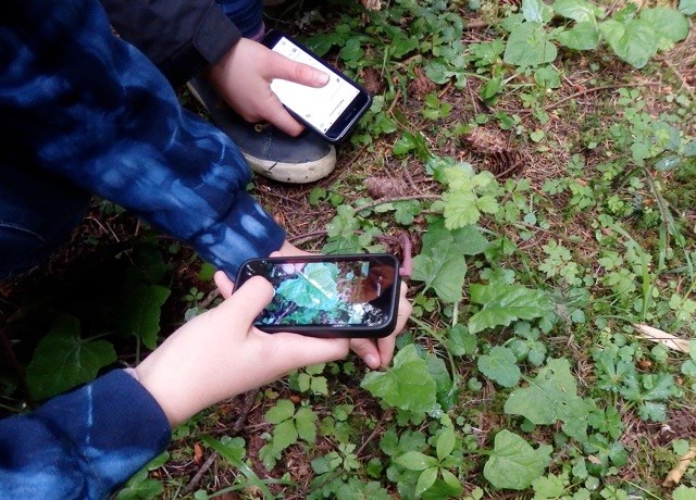 Students record plant observations with their smart phones. Students record plant observations with their smart phones.