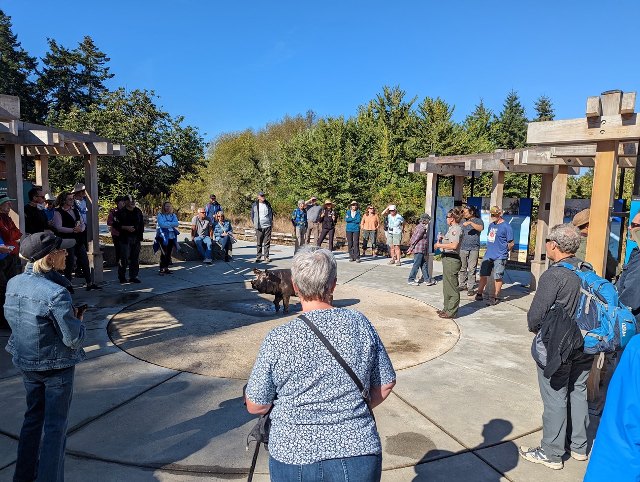 A group of people gather in an outdoor plaza