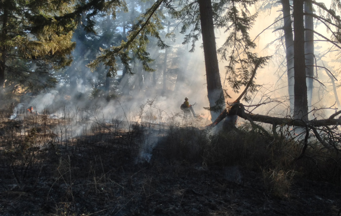 fire young hill 2014