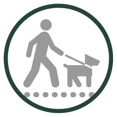 Icon of person walking on trail with leashed dog.