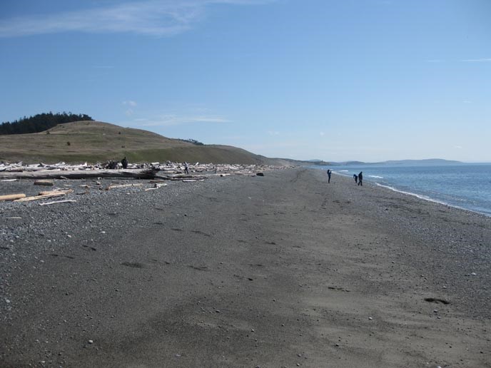 Geologic Formations San Juan Island National Historical Park U S Finlayson South Beach