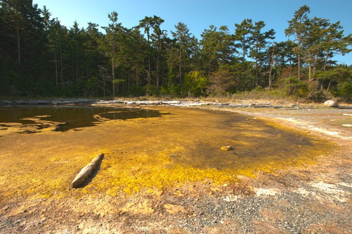 groundwater_dry lagoon groundwater_dry lagoon