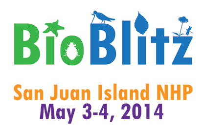BioBlitz-Logo-Color-Square-small