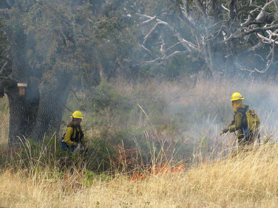 fire crew lights off area on Young Hill