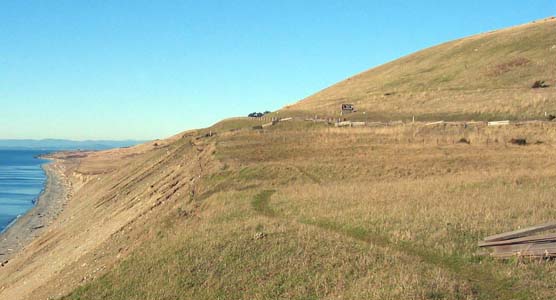 Cattle Point Road