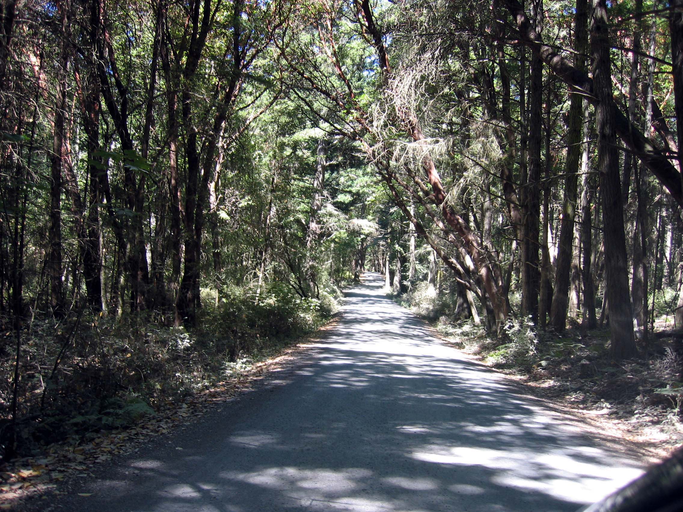 English Camp Entrance Road