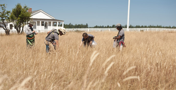 gathering seeds