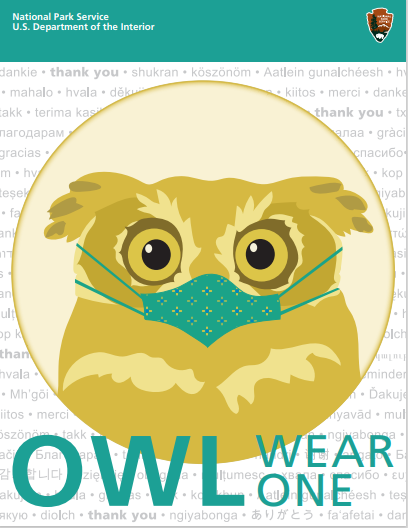 poster of an illustrated owl wearing a mask