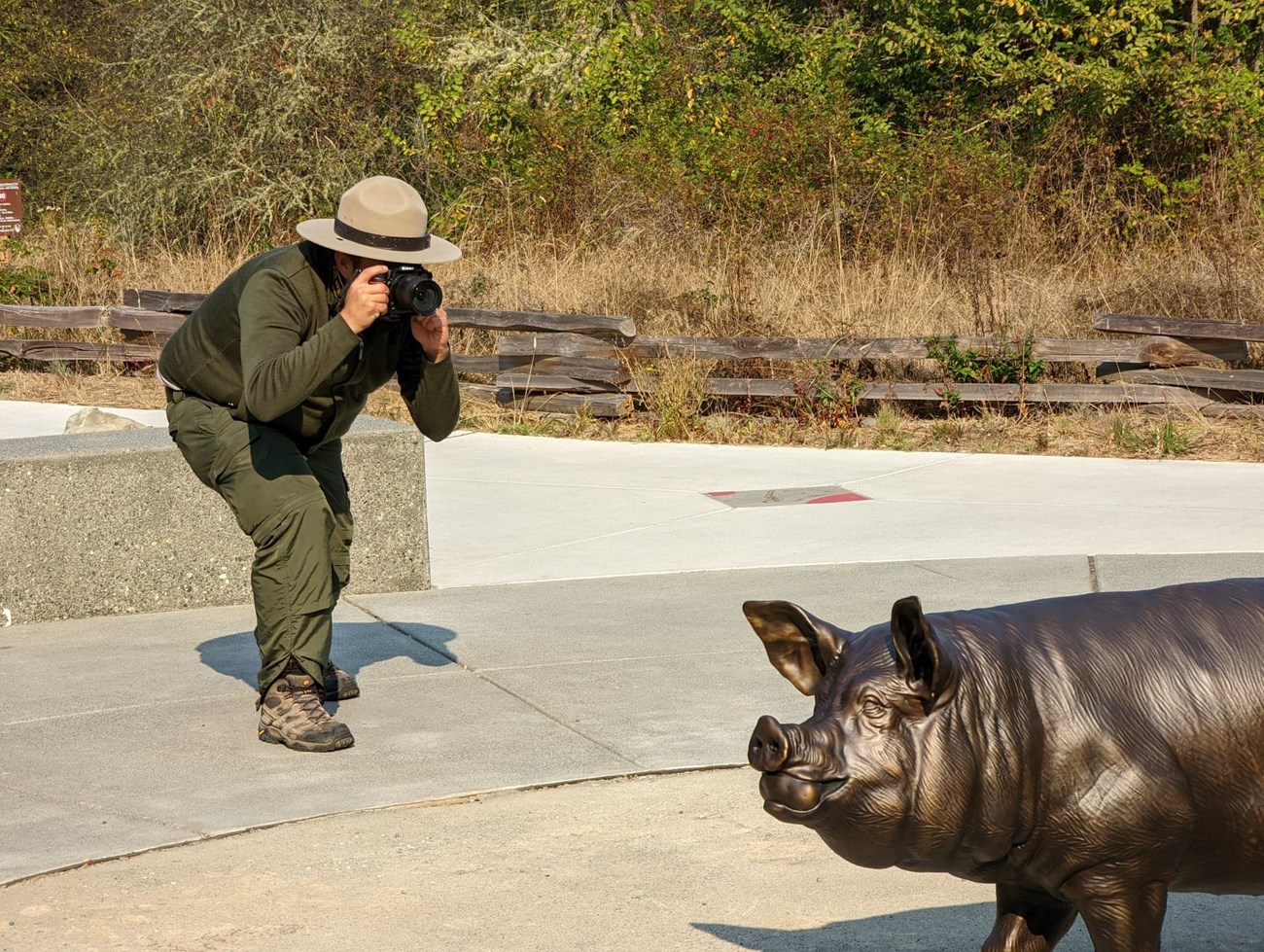 a park ranger with a camera takes a picture of a bronze pig statue