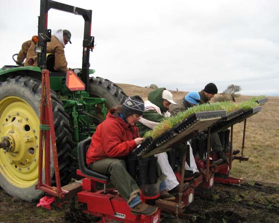 Hedlin Farm Plug Planting Machine