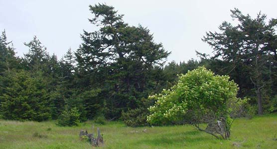 Jakle's Homestead site