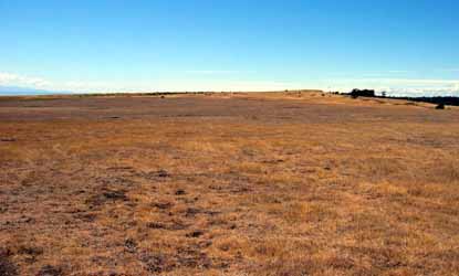 The prairie at American Camp looking toward the Redoubt Road.