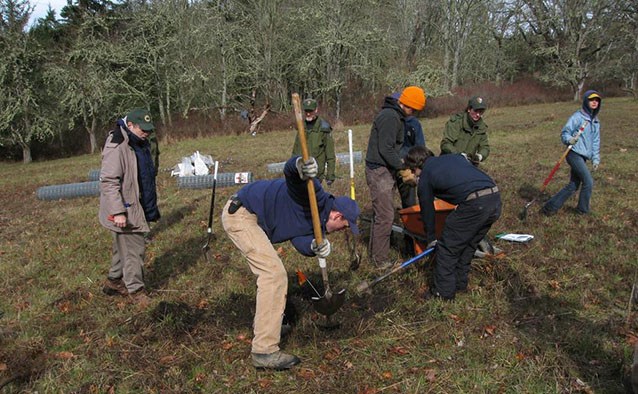 a group of people performing landscape work in a tree filled field